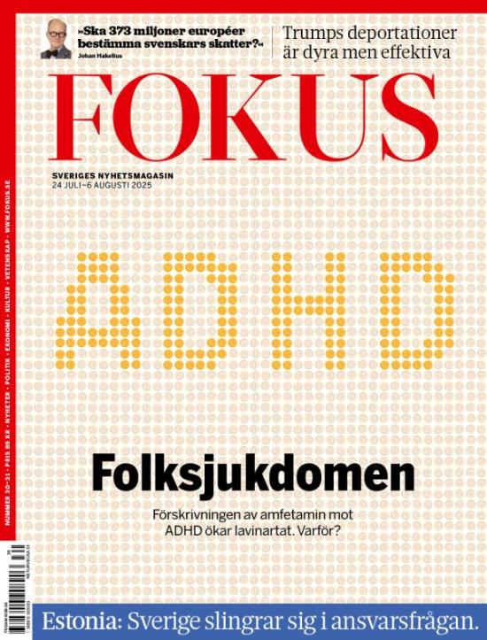 Fokus
