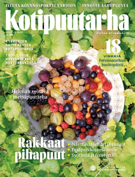 Kotipuutarha