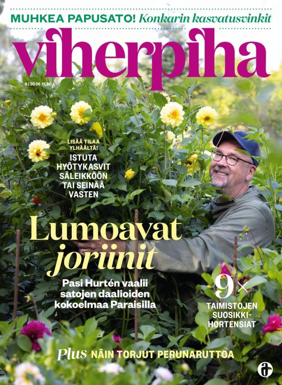 Viherpiha