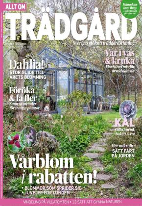 Allt om Trädgård