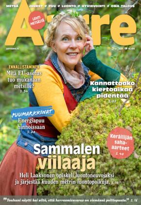 Aarre