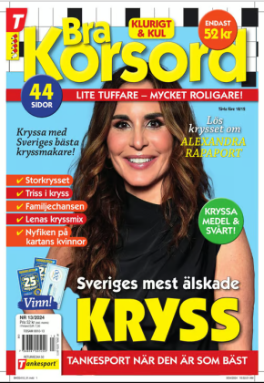 Bra Korsord