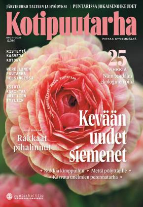 Kotipuutarha