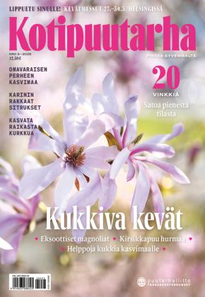 Kotipuutarha