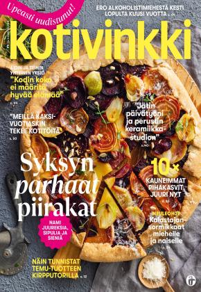 Kotivinkki